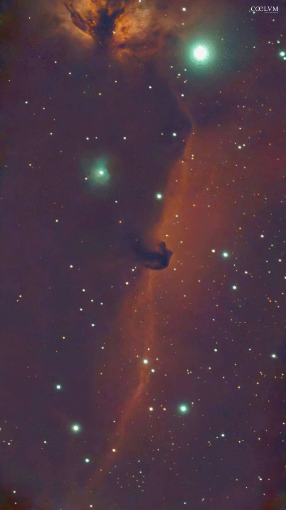 HorseHead Nebula (Barnard 33 o Nebulosa Testa di Cavallo) – Nebulosa Fiamma (NGC 2024) -Alnitak