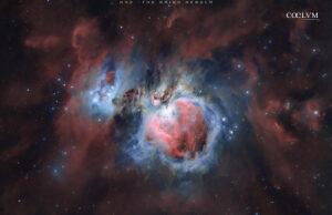 M42 – Nebulosa di Orione