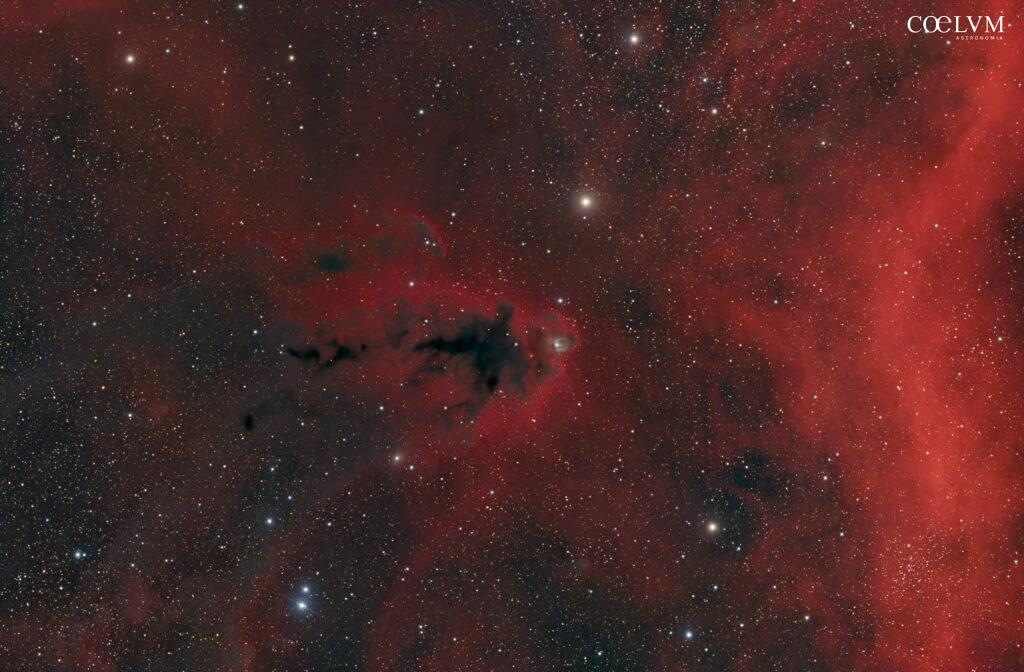 THE BOOGEYMAN NEBULA