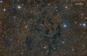 LDN673 nebulosa scura “Carattere Cinese”