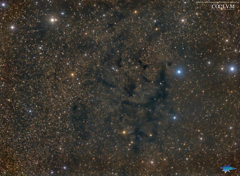 LDN673 nebulosa scura “Carattere Cinese”