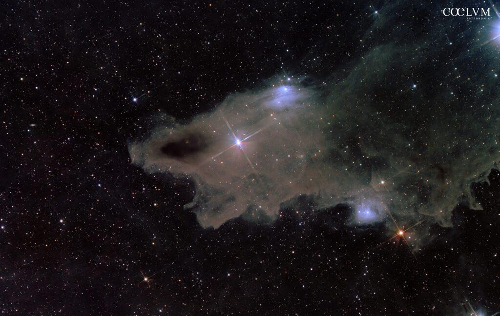 LDN1235 Shark Nebula