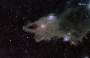 LDN1235 Shark Nebula