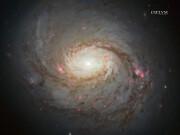 La Galassia NCG 1068