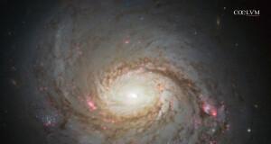 La Galassia NCG 1068