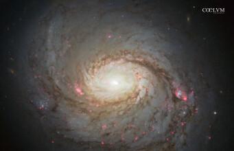 La Galassia NCG 1068