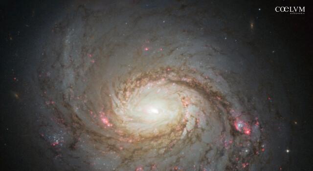 La Galassia NCG 1068