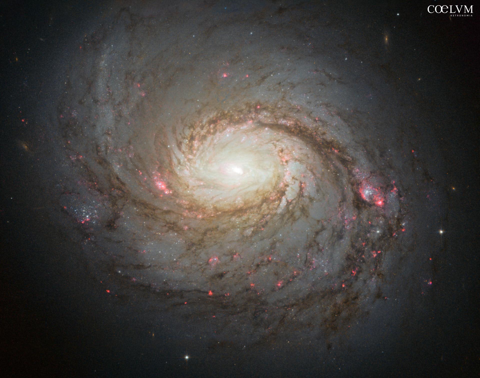 La Galassia NCG 1068