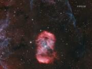 ShaRA#13 – L’Uovo del Drago