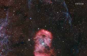 ShaRA#13 – L’Uovo del Drago