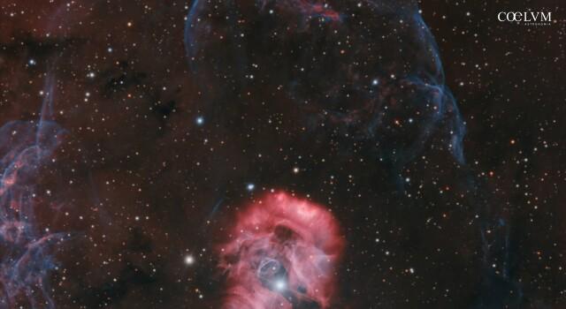 ShaRA#13 – L’Uovo del Drago