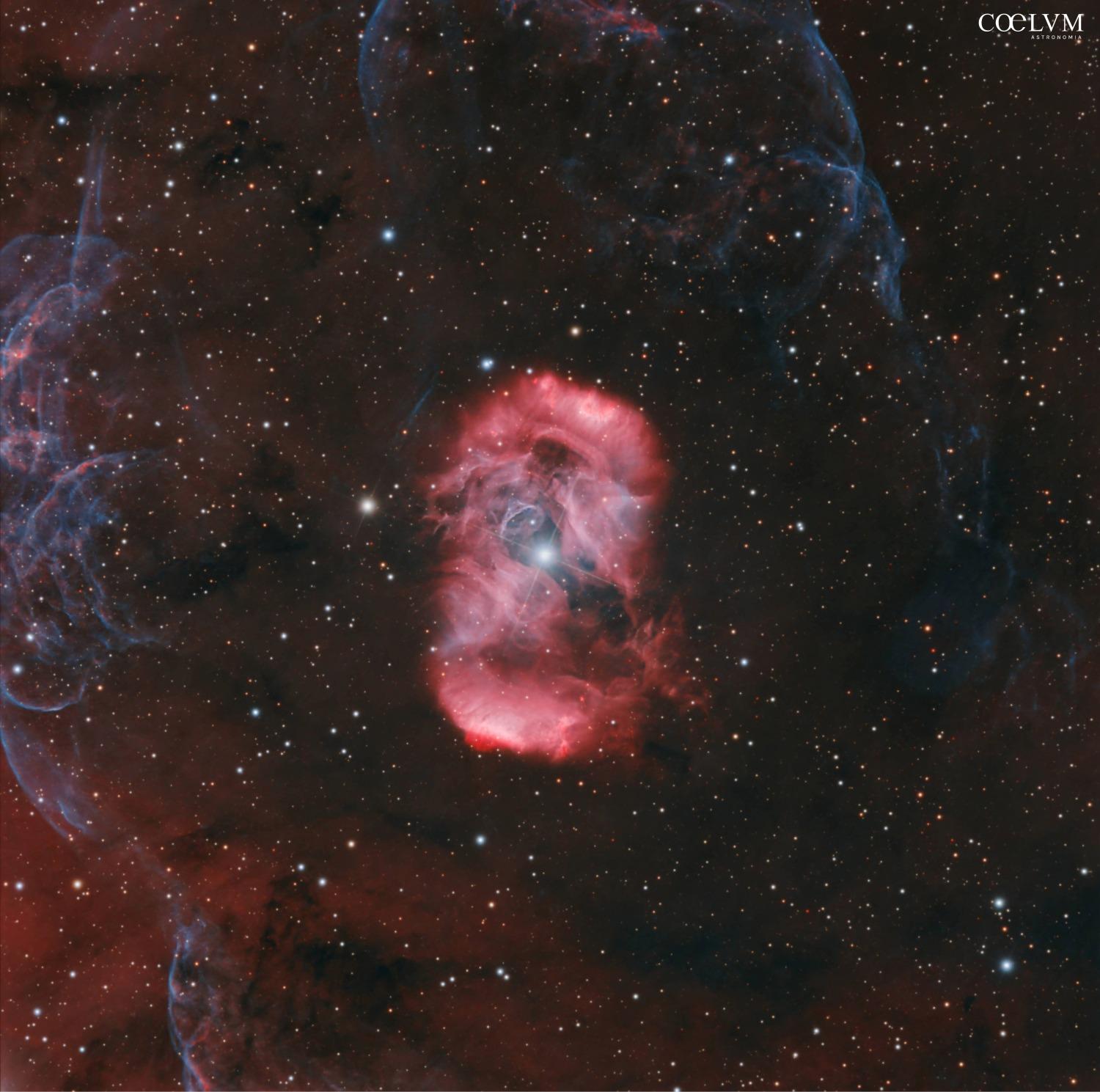 ShaRA#13 – L’Uovo del Drago