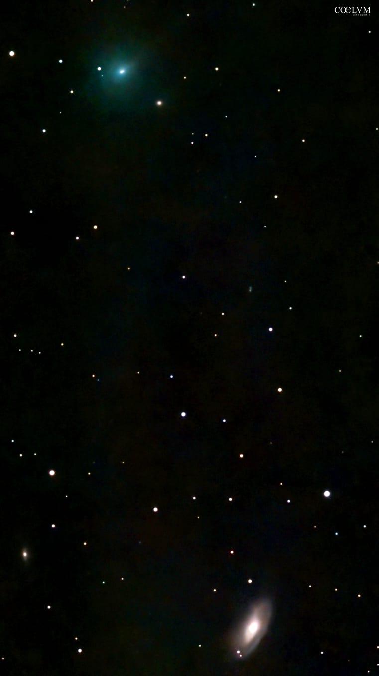 La Cometa 24P Schaumasse ripresa il 28 dicembre 2025.