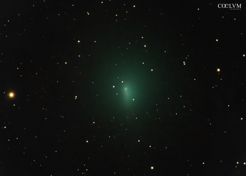 Cometa 24P/Schaumasse