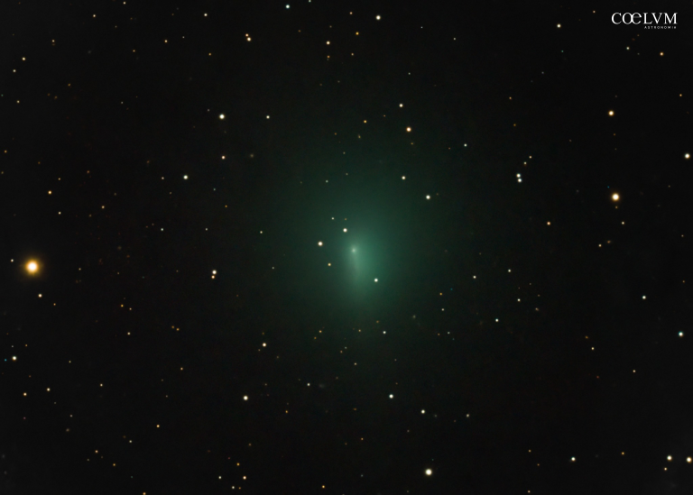Cometa 24P/Schaumasse