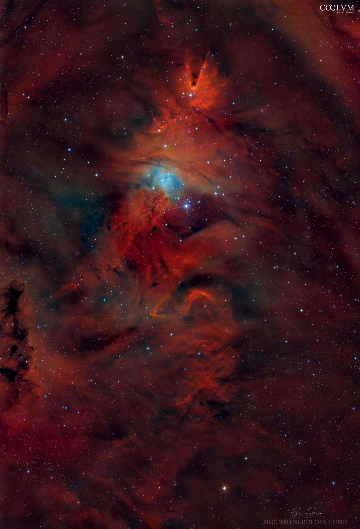 NEBULOSA CONO