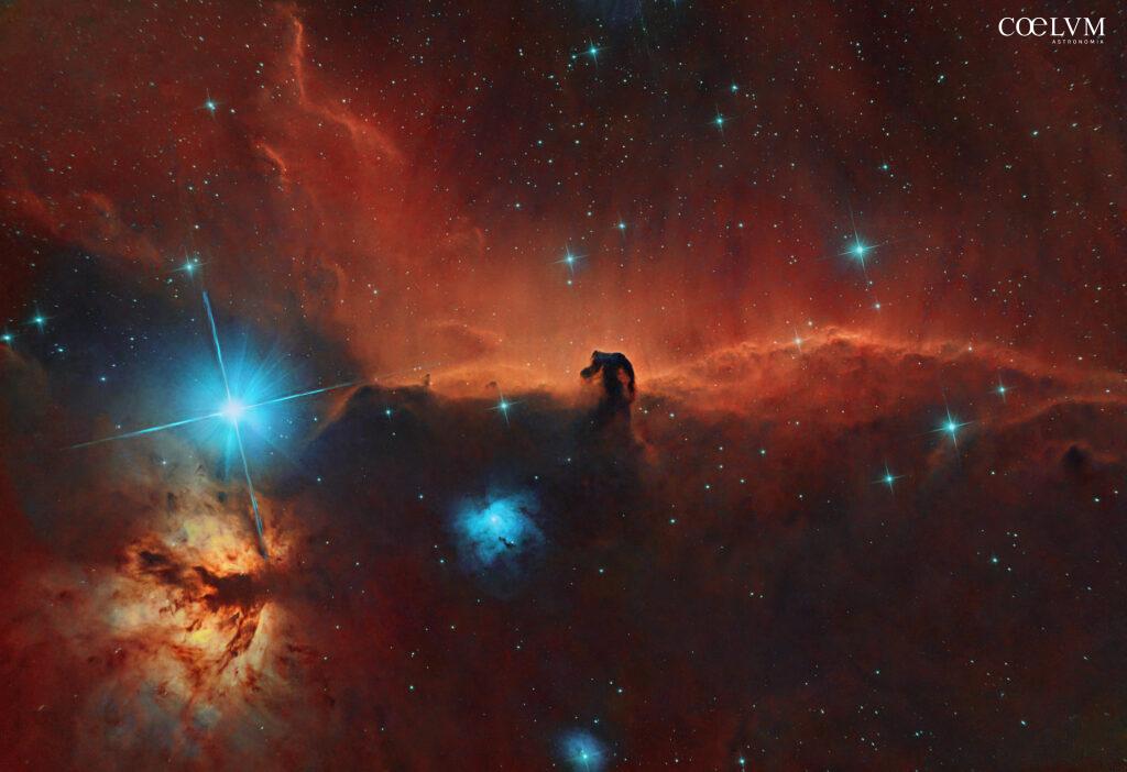 Nebulose Testa di Cavallo e Fiamma