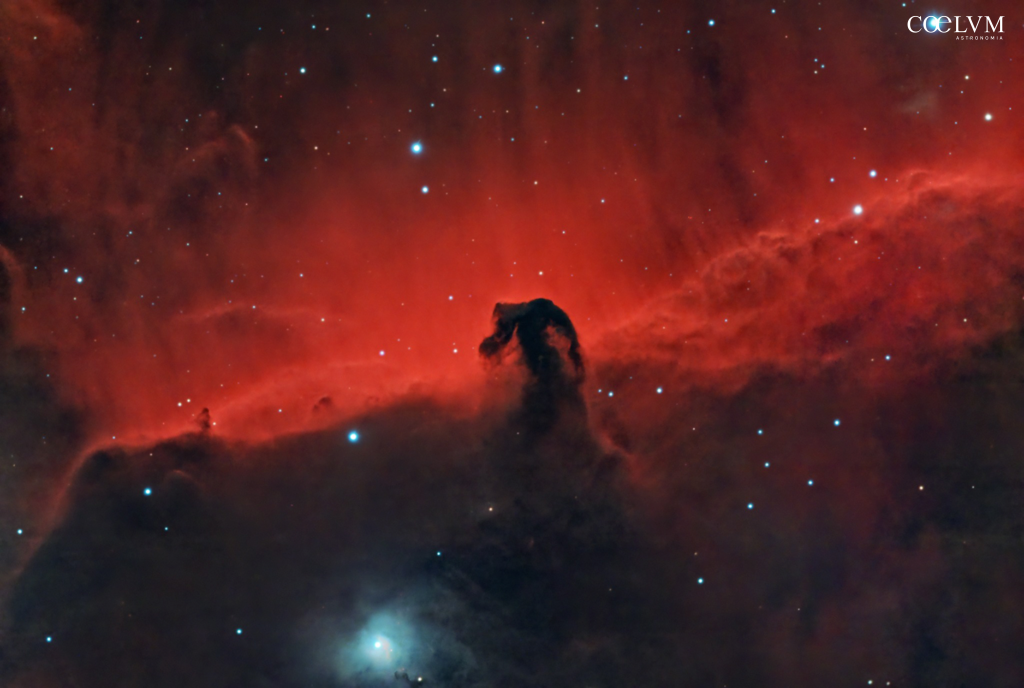 Nebulosa Testa di cavallo Orione