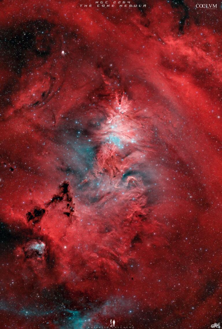 NGC 2264 – Nebulosa Cono & Co.
