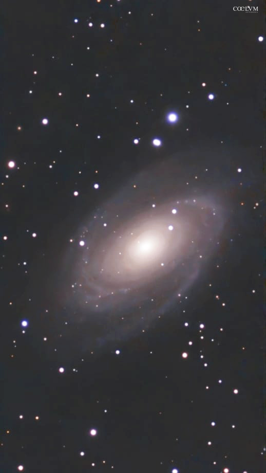 M 81 La Galassia di Bode una spirale perfetta