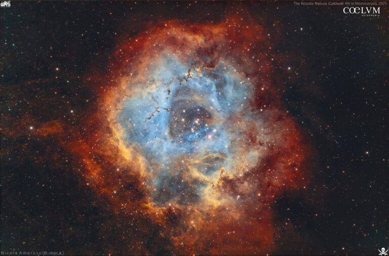 Nebulosa Rosetta