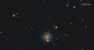 IMMAGINE NGC 3344 CREDITI: CRISTINA CELLINI