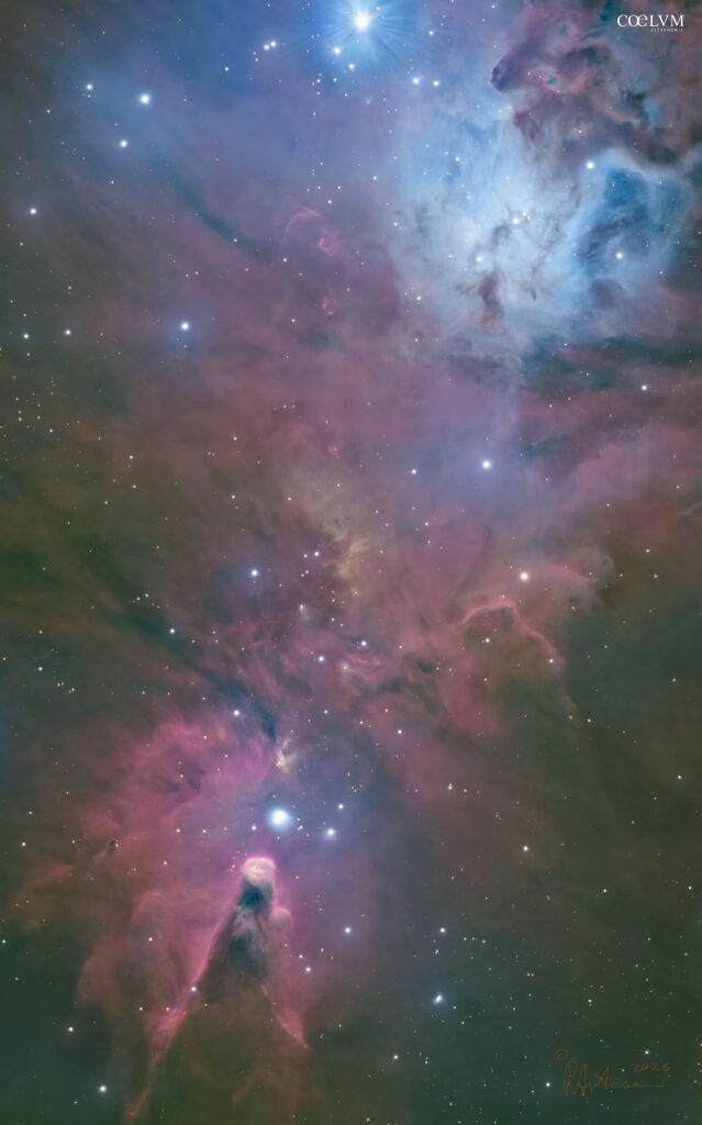 NGC2264 Nebulosa Cono ed area circostante