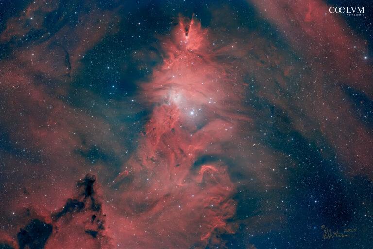 NGC2264 Nebulosa Cono e Ammasso Albero di Natale