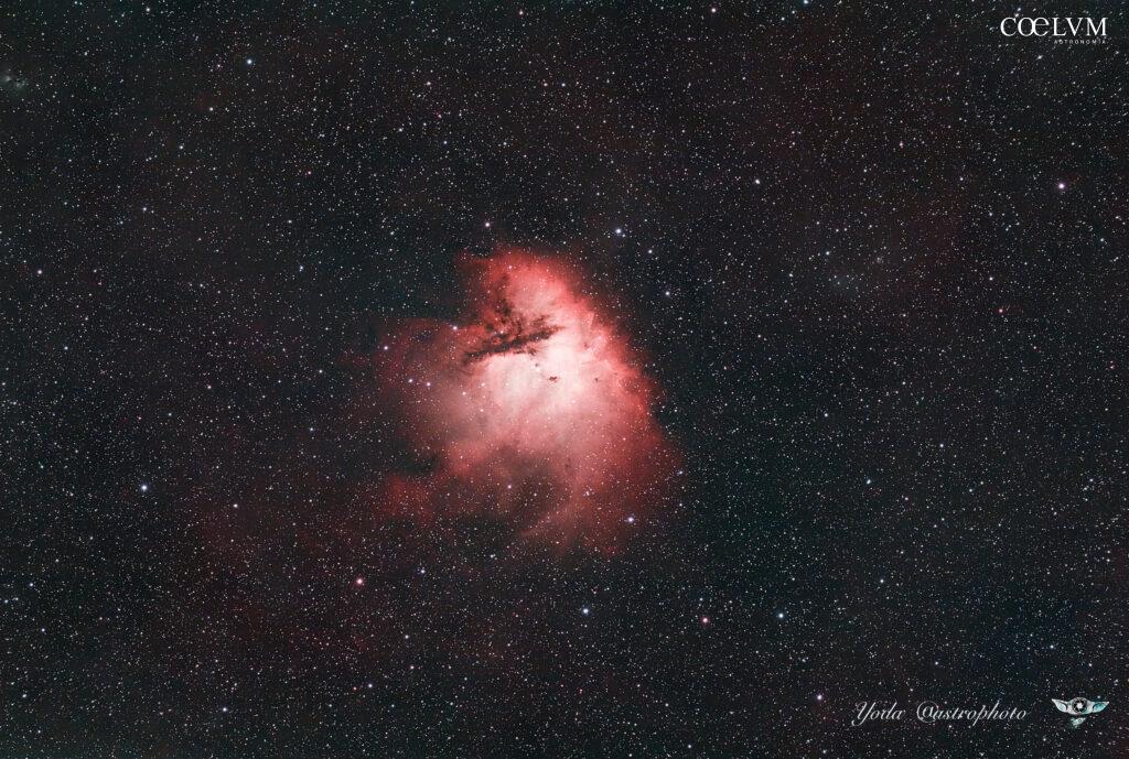 Un Mangia Stelle….