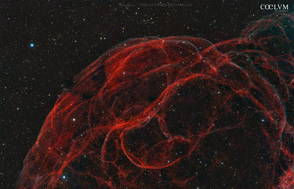 NEBULOSA SPAGHETTI