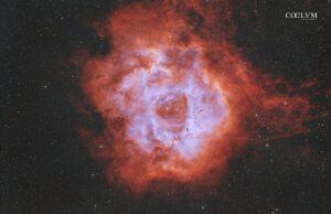 ROSETTA NEBULA