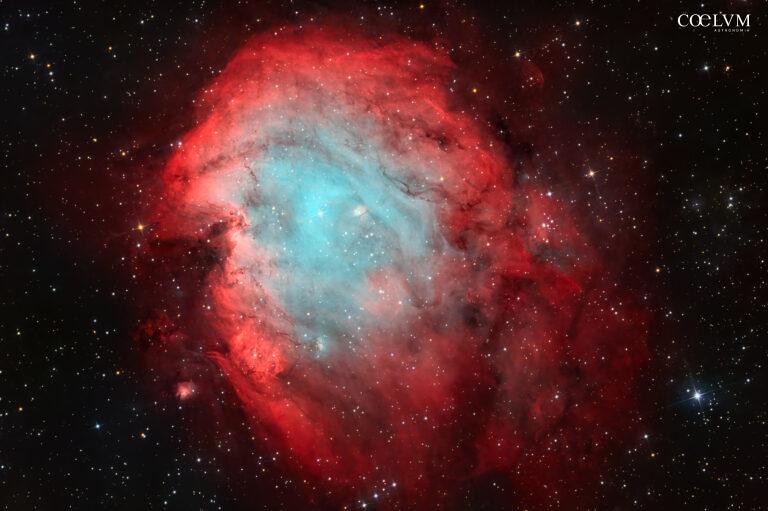 Nebulosa Testa di Scimmia
