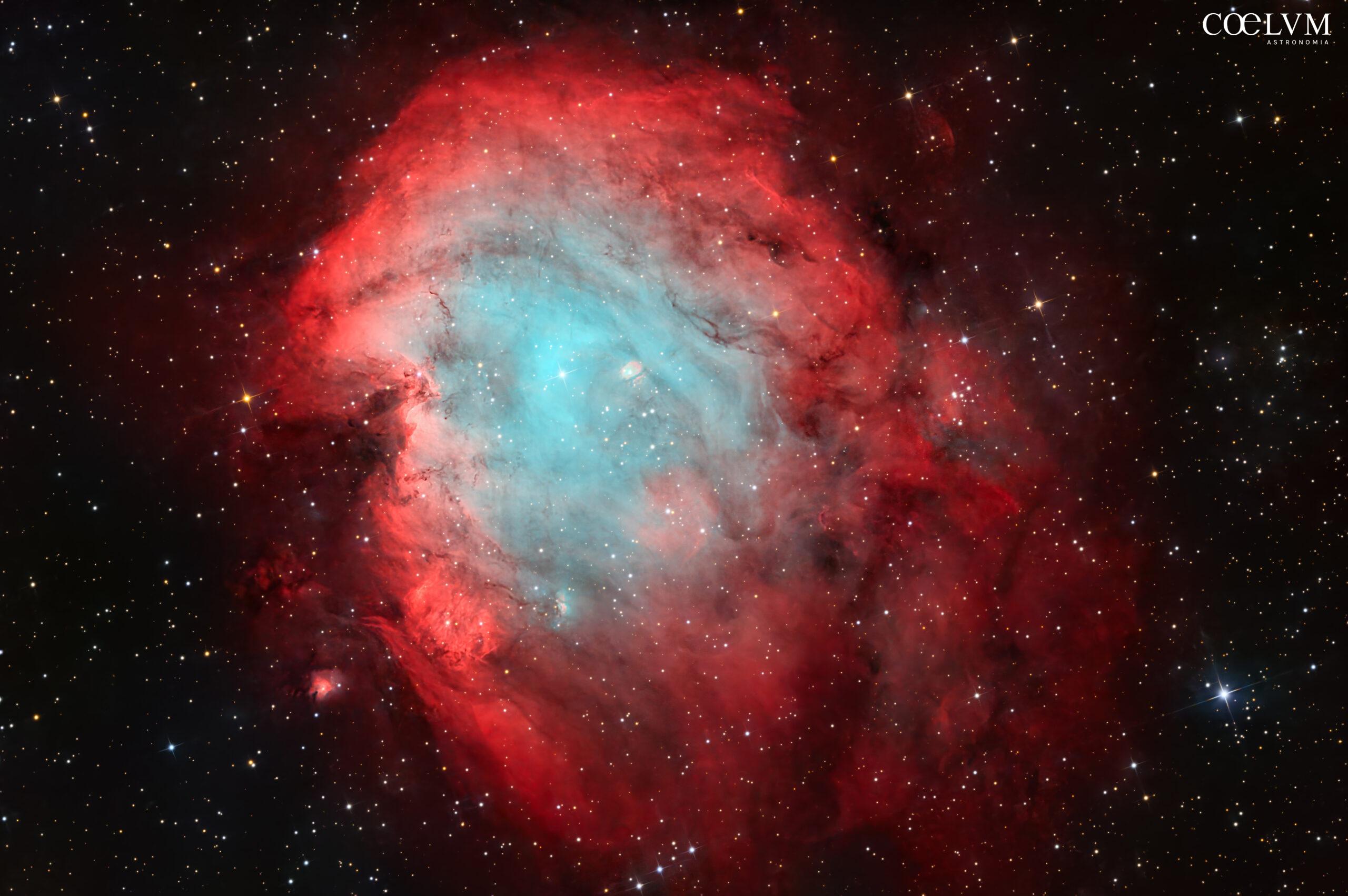 Nebulosa Testa di Scimmia