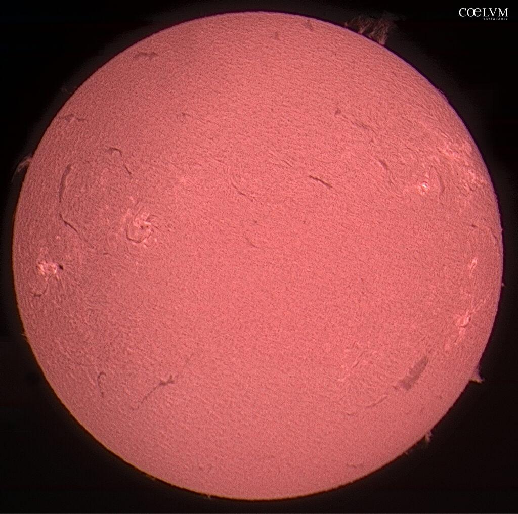 il nostro Sole in Halfa