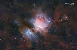 Nebulosa di Orione – M