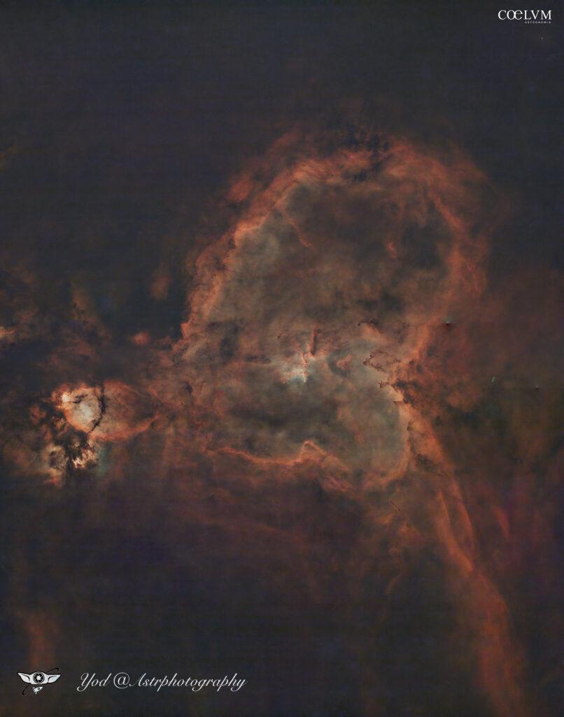 Un Pannello dal Cuore