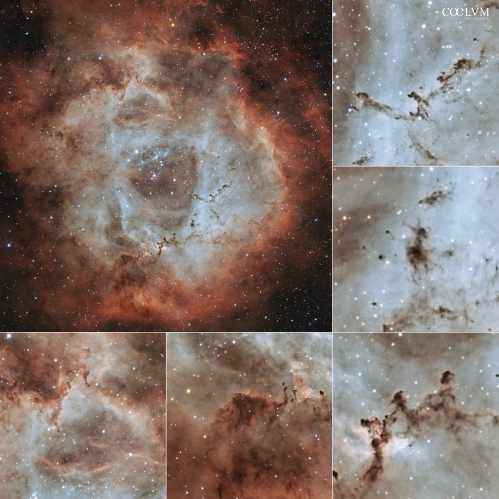 Nebulosa Rosetta (NGC 2237 – Sh2-275)