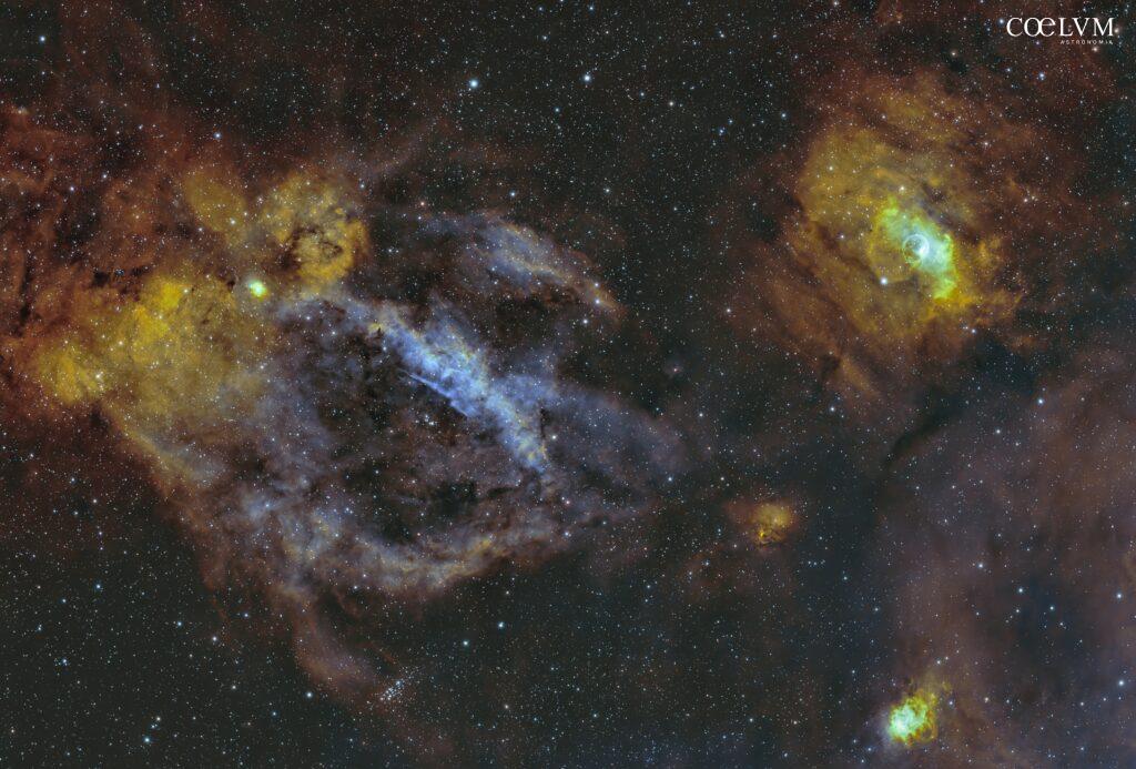 The Lobster and the Bubble – REVISION