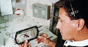 Pionieri Silenziosigli animali nell'esplorazione dello spazio