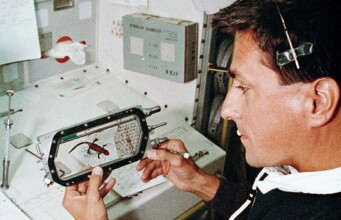 Pionieri Silenziosigli animali nell'esplorazione dello spazio