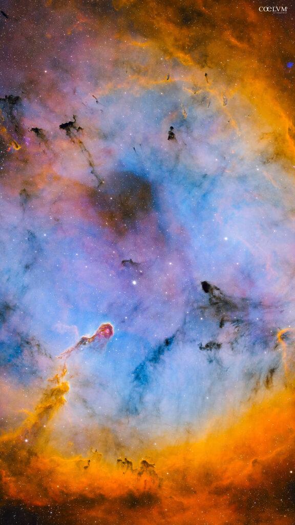 Nebulosa Proboscide di Elefante | IC 1396