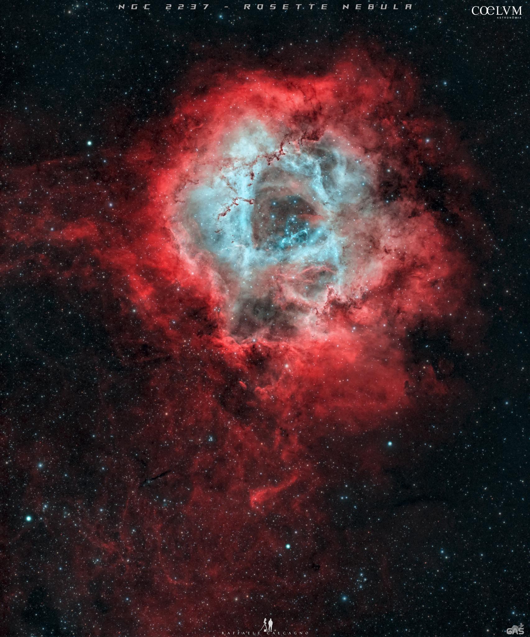 NGC 2237 Rosette Nebula