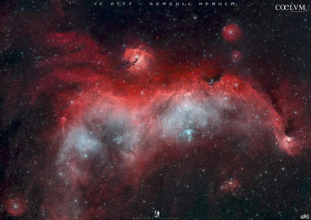 IC 2177 Seagull Nebula