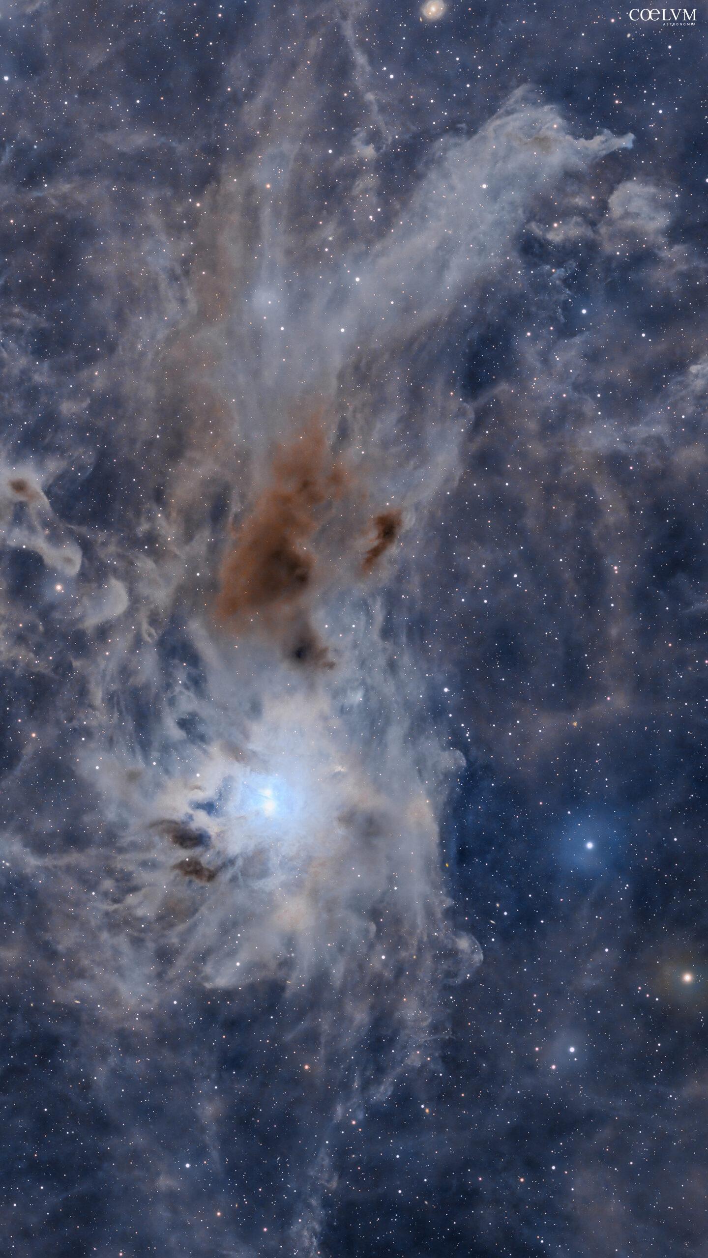 Iris Nebula