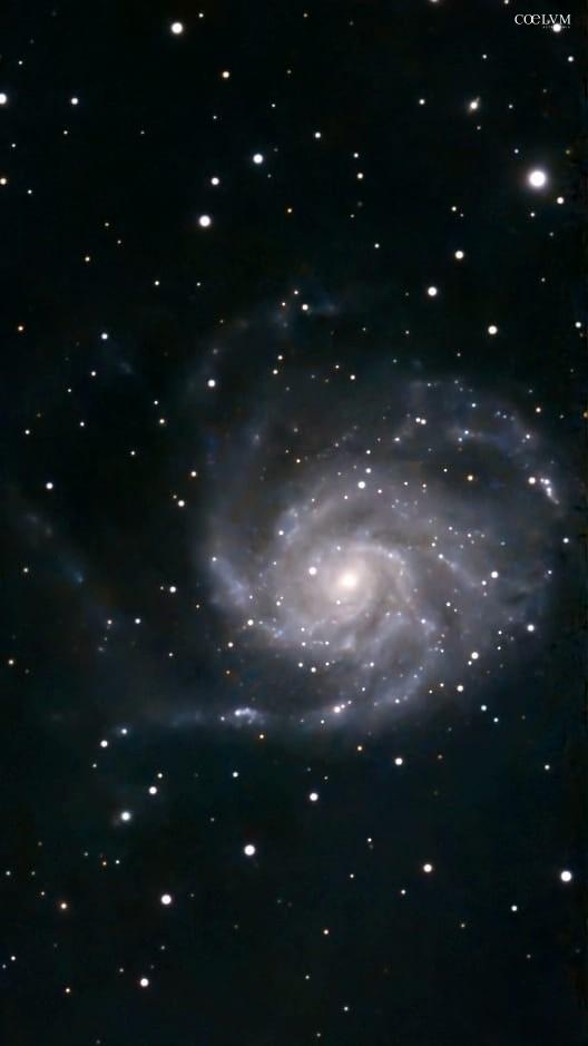 M101 Un affascinante e spettacolare ritratto della Galassia Girandola catturato con il Seestar S50