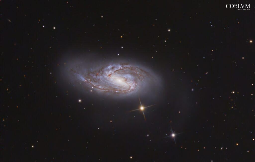 Messier66