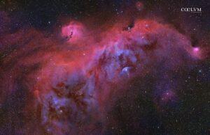 SEAGULL NEBULA
