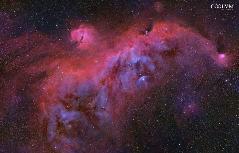SEAGULL NEBULA