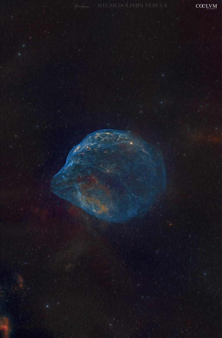 SH2 308