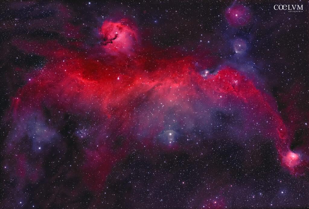 Seagull Nebula